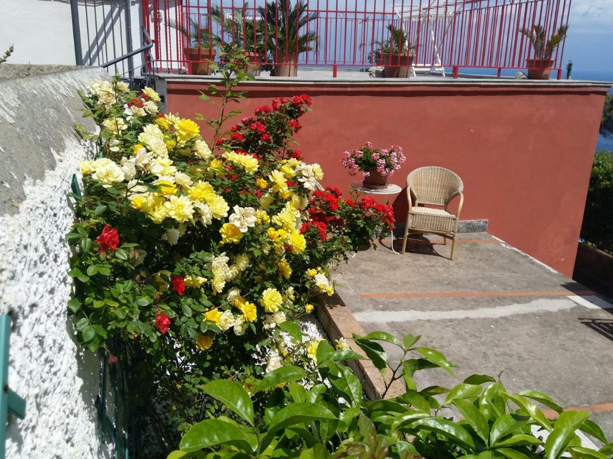La Marocella Villa Capri Exteriör bild