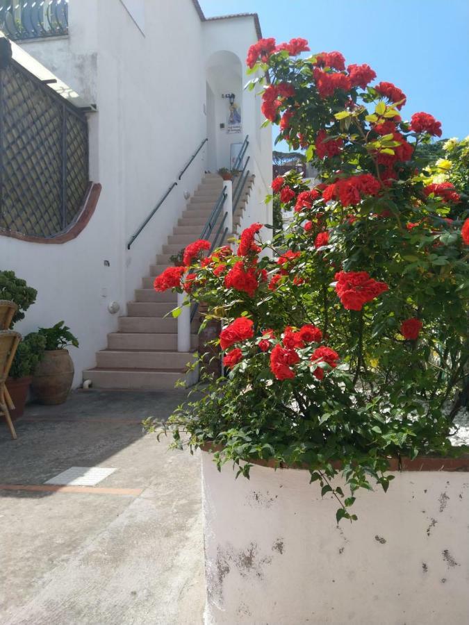 La Marocella Villa Capri Exteriör bild